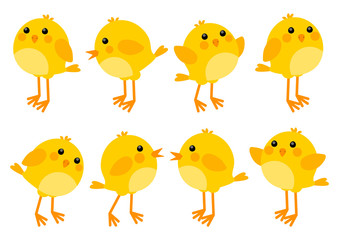 Set of cute little chickens © evgeniya_m