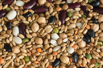 Colourful background from the scattered crops