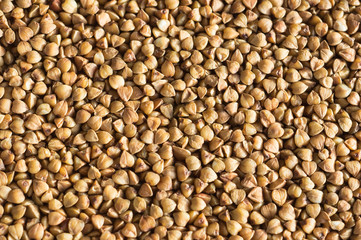 Background from the scattered buckwheat