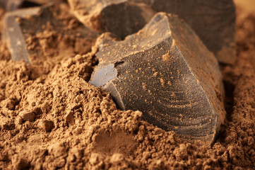 Cocoa mass and cocoa powder