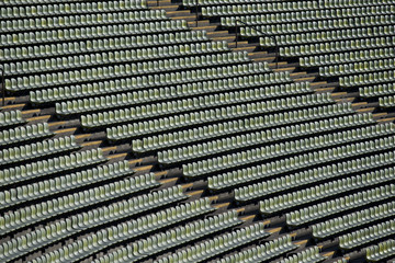 Seats of a Stadium