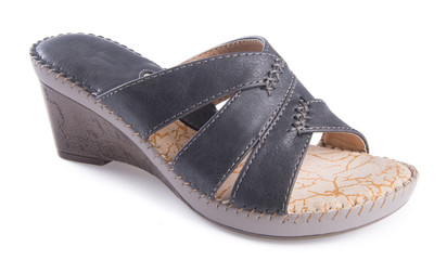 shoe. woman sandal on a background