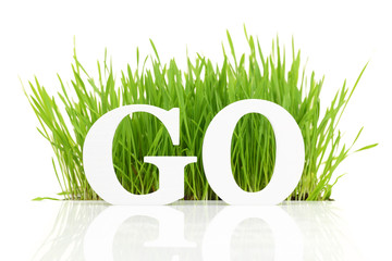 Go green with text and grass isolated on white