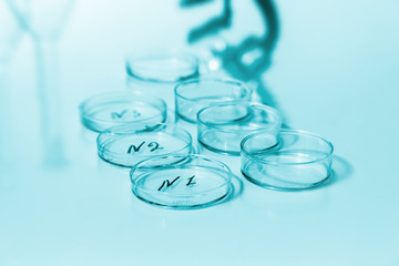 petri dishes used in laboratory .medical glassware