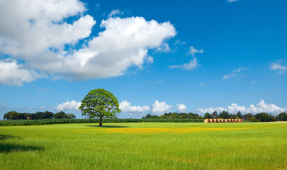 Paysage de France