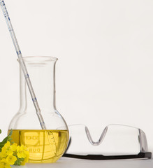 Canola or rapeseed oil in laboratory beaker