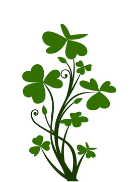 recommend clip art: Branch of shamrock. Vector illustration.