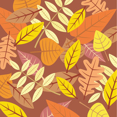 Vector background with various autumn leaves