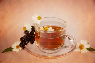 Stylized cup of tea with chamomile and blackberry