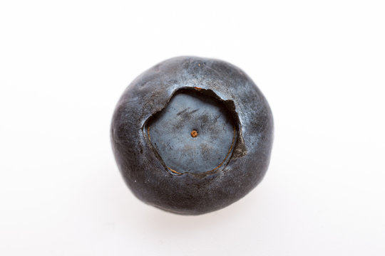mirtillo
