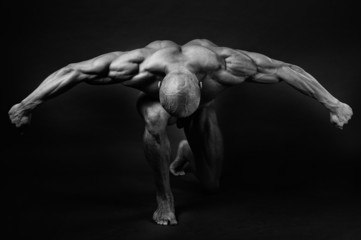 bodybuilding - obrazy, fototapety, plakaty