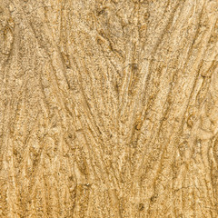 Brown background
