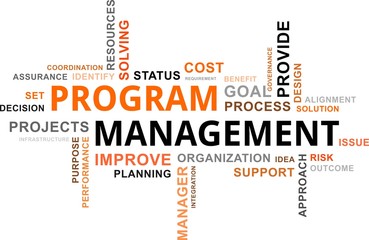 word cloud - program management