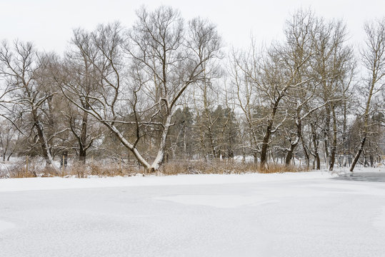 not frozen pond in winter