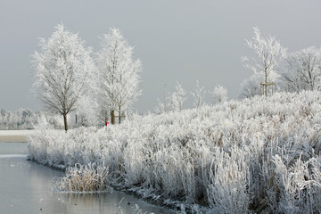 See mit Raureif am Ufer