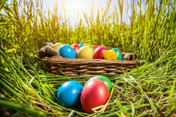 Easter eggs on the grass
