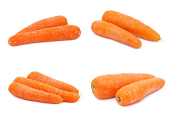 Carrot
