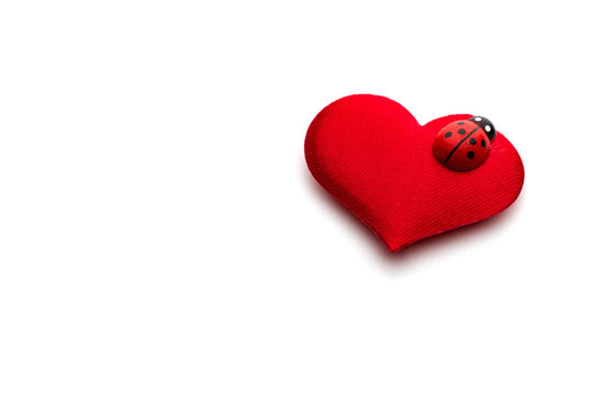 Hearts and ladybug for valentines day concept