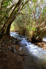 mountain river -  blurred