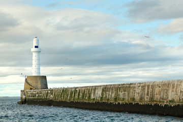 Fototapeta na wymiar Latarnia morska w Aberdeen, Szkocja