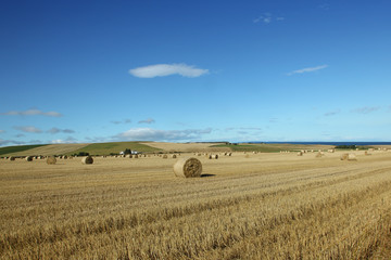 Straw bales in Scotland