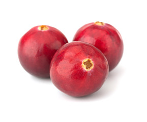 Cranberry isolated on white background closeup