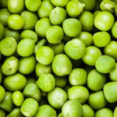 Green pea