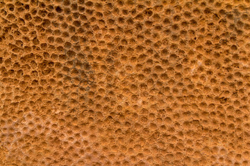 Texture of the stones in the Mnajdra temple in the Malta