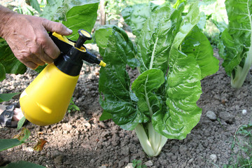 traitement anti-pesticide