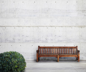 Antique bench and green bush on bright concrete background