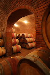 Wine barrels in wine-vaults in order