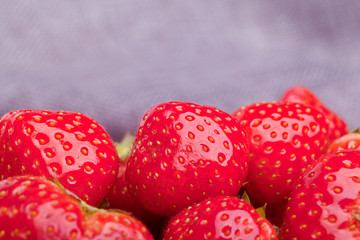 red strawberry on grey background