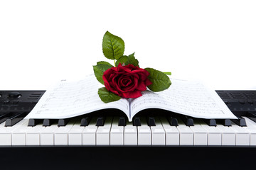Piano keys and rose flower on note book