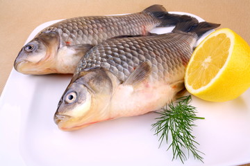 Two fresh carp on white plate with lemon