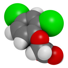 2,4-D (2,4-dichlorophenoxyacetic acid) Agent Orange ingredient.