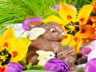 Frohe Ostern: Osternest zwischen Frühlingsblumen