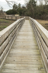 Obraz premium Nature Trail