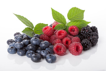 Composition of fresh wildberries