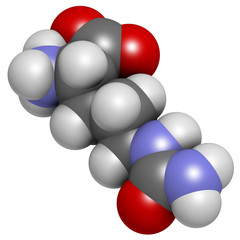 Citrulline amino acid molecule.