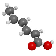 Sorbic acid food preservative molecule. 