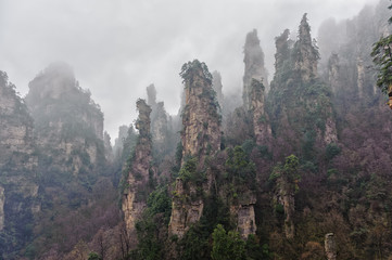 foggy Zhangjiajie