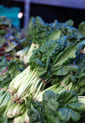 bunches of tatsoi