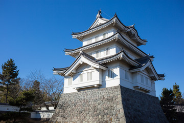 Fototapeta na wymiar Oshi castle