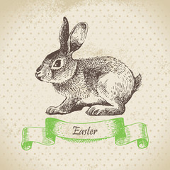 Vintage background with Easter rabbit. Hand drawn illustration