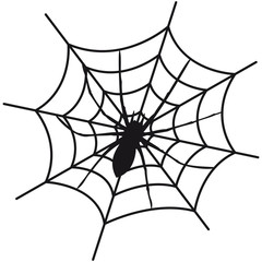 Fototapeta premium Cobweb Spider