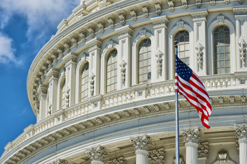 Washington DC Capitol detail
