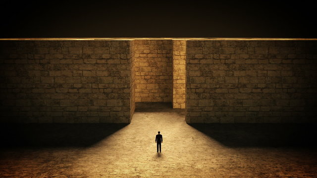 Man and maze