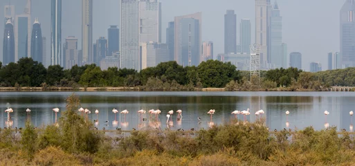 Papier Peint photo Flamant Pink flamingos in the background of a megacity