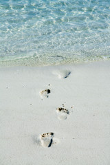 Footprints on a white beach