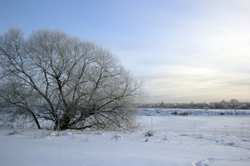 рассвет © mifidor
